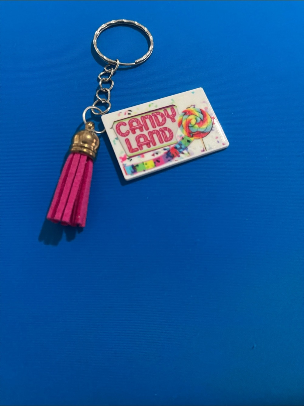 Candy Land Pink Tassel Keychain & Card Holder